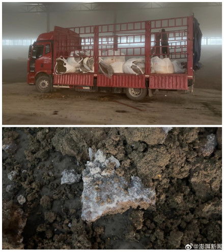 影子暗访丨起底毒营养土产业链（下） 固废处置资质成空文，工业污泥借水泥车“洗白”入市